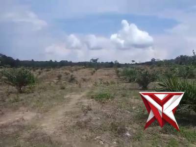 Ketahanan pangan polsek muara kelingi 7 - PoliceTube