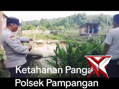 Peternakan ikan lele binaan polsek pampangan