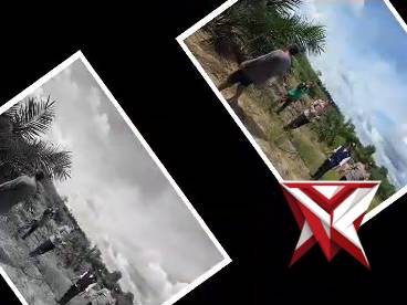 Cek renc tanam jagung Polsek babat Toman polres Muba andalan - PoliceTube