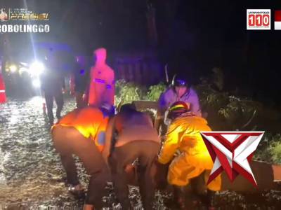 RESPON CEPAT MELALUI CALL CENTER 110, POLRES PROBOLINGGO BERHASIL MENGEVAKUASI POHON TUMBANG - PoliceTube