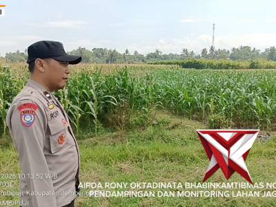 MONITORING LAHAN JAGUNG DALAM RANGKA KETAHANAN PANGAN - PoliceTube