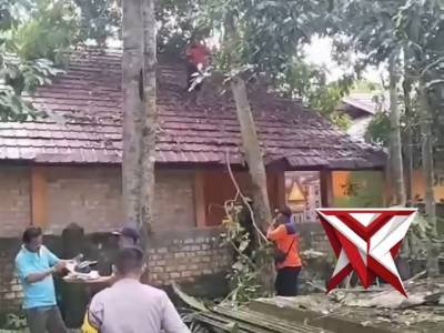 SINERGI POLRI, BPBD & WARGA ATASI POHON TUMBANG