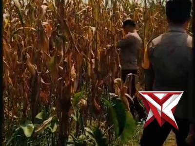 Polri untuk masyarakat Polsek Purwodadi Polres Musi Rawas - PoliceTube