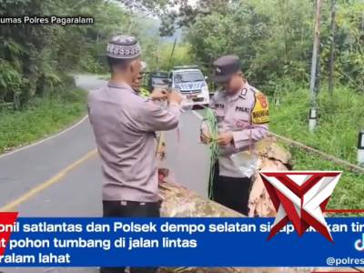 Personil sat lantas dan Polsek dempo selatan sigap lakukan tindakan akibat pohon tumbang dijalan