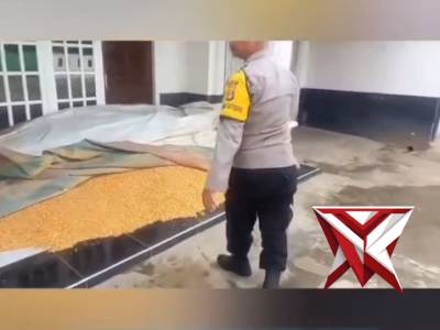 *?Dukung Ketahanan Pangan, Bhabinkamtibmas Polsek STL ulu Dampingi Petani Jagung ke Bulog* ????? - PoliceTube
