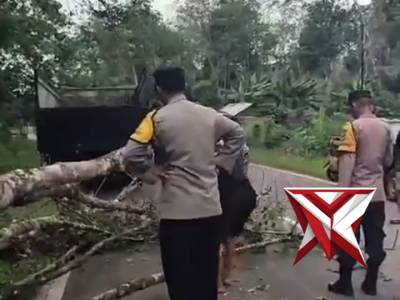 ?Gerak Cepat Polsek Muara Beliti Polres Musi Rawas Evakuasi Pohon Tumbang di Jalinsum