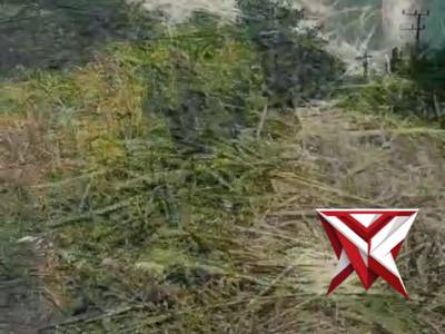 PROGAM BELIDA POLDA SUMSEL PERS POLRES MUBA - DLH PEMKAB MUBA MEMBERSIHKAN RUMPUT LIAR DISEKITAR JLN