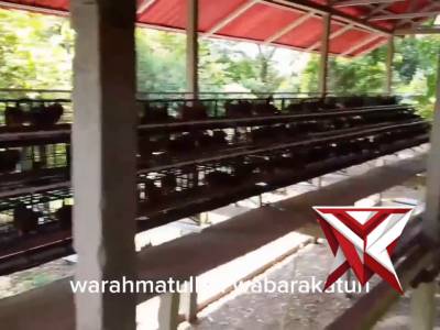 Ketahanan Pangan Polsek Pampangan - Polres OKI