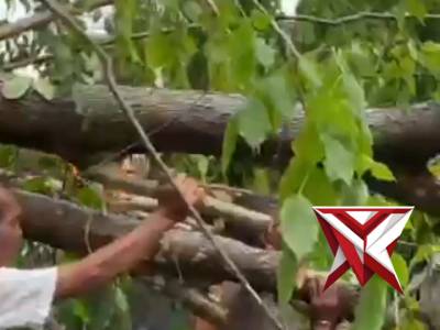 POLRI HADIR MEMBANTU MASYARAKAT Hari ini, 7 April 2026, di kawasan Cipta Asri Tembesi, tim SAR Bri - PoliceTube