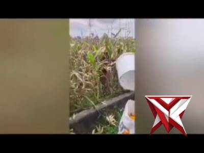 Ketahanan Pangan - PoliceTube