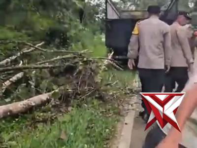 ?Gerak Cepat Polsek Muara Beliti Polres Musi Rawas Evakuasi Pohon Tumbang di Jalinsum