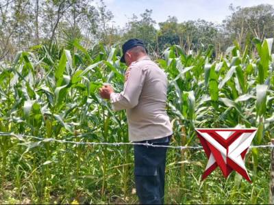 Polsek Mesuji Makmur