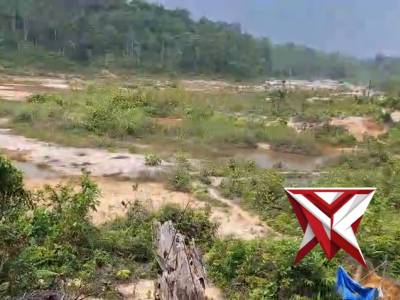 POLSEK SEBERUANG TINDAK LANJUTI INFORMASI VIRAL DUGAAN PETI DI BUKIT BATU