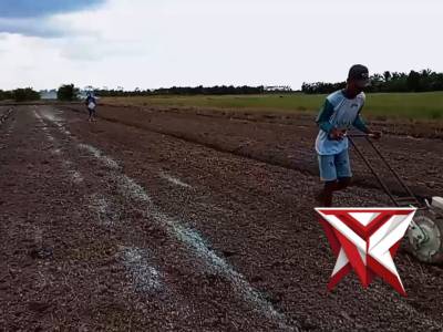 PENANAMAN JAGUNG KWARTAL 2 POLSEK AIR SUGIHAN