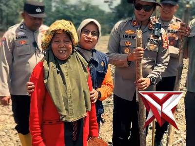 Tanam jagung, Program ketahanan pangan nasional ??