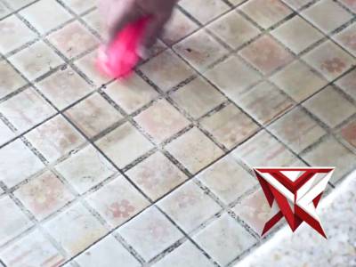 polsek mesuji makmur