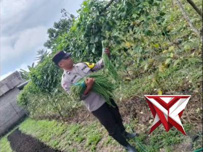 Program Ketahanan Pangan Didorong untuk Perkuat Sektor Pertanian