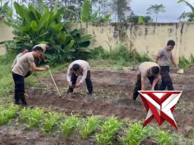 KORVE HALAMAN SAT BINMAS 8