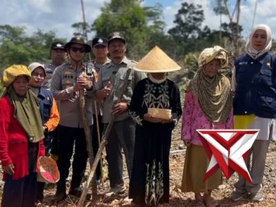 Polisi melakukan menanaman jagunh kw 2 IK3