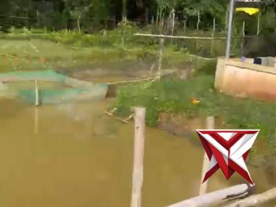 Ketahanan Pangan, Langkah Nyata Menuju Kesejahteraan Masyarakat