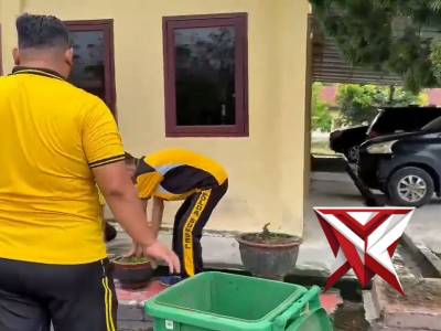 Kurve mako polsek cambai