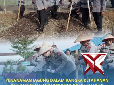 Dansatbrimob Polda Kalbar KBP. Dede Rojudin, S.I.K. M.H. pimpin langsung penanaman jagung - PoliceTube