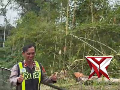REVITALISASI JEMBATAN GANTUNG DESA PEDANG: WUJUD NYATA PROGRAM "BELIDA" POLRES MUSI RAWAS - PoliceTube