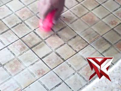 polsek mesuji makmur