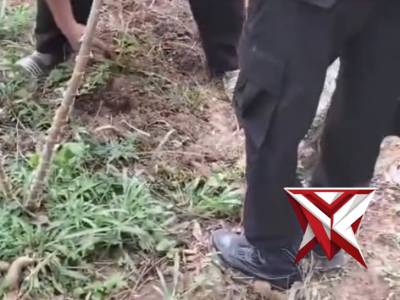 Personil Polsek Lais menolong warga yang panen di kebun.