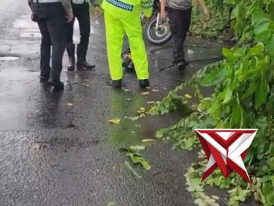 Evakuasi Pohon Tumbang Di sekitaran Jalan Singaperbangsa - PoliceTube