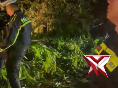 Giat anggota polres Mura, membersihkan pohon tumbang d jalan..C6