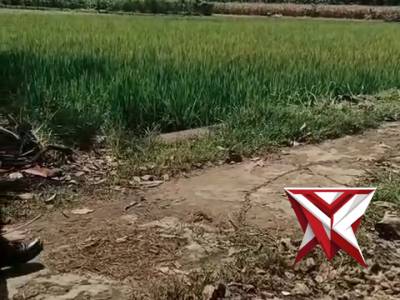 polres musi rawas mantap