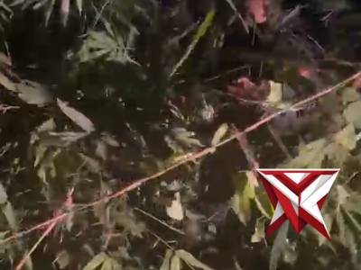 Giat anggota polres Mura, membersihkan pohon tumbang d jalan..C6