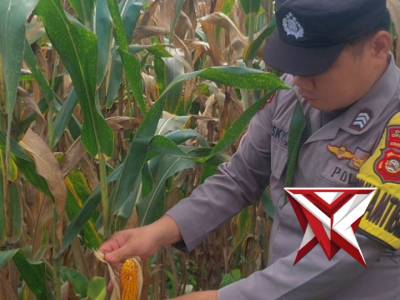 Anggota Babhinkamtibmas Polsek Buay Runjung ,Brigpol Resky putra