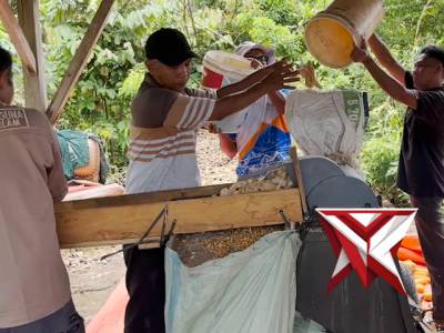 jagung pilihan untuk masyarakat