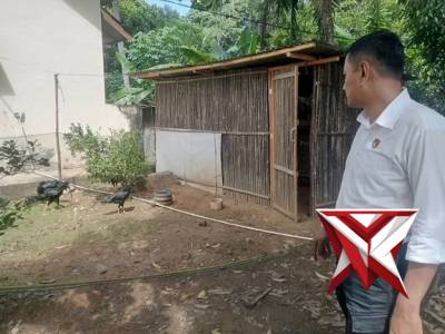 Kanit Intel Polsek Jejawi cek ketahanan pangan ternak ayam kampung milik warga Desa Jejawi, OKI - PoliceTube