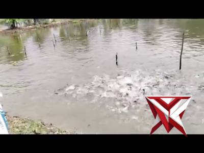 Bhabin Polsek Jejawi sambang cek ketahanan pangan tambak ikan patin milik warga Desa Jejawi OKI