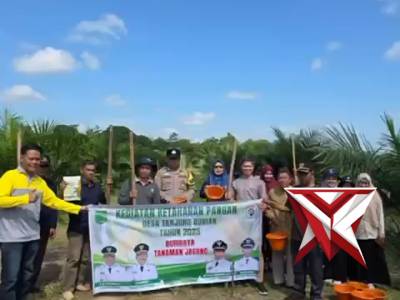 KEGIATAN PENANAMAN JAGUNG