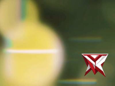 Bersatu, bersih, bercahaya, Bakti Belida Untuk Masyarakat