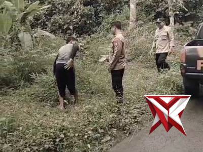 Patroli harkamtibmas