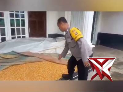*?Dukung Ketahanan Pangan, Bhabinkamtibmas Polsek STL ulu Dampingi Petani Jagung ke Bulog* ????? - PoliceTube