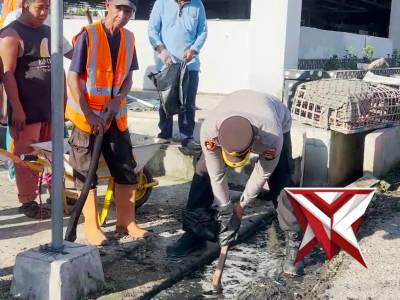 polsek mesuji makmur