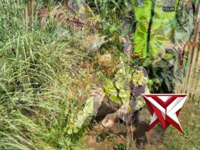 Cek ketahanan pangan kebun bumbu dapur milik warga Desa Jejawi OKI - PoliceTube