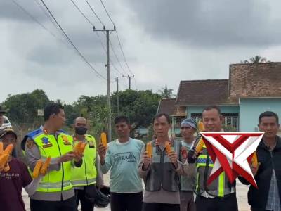 Perkuat Ketahanan Pangan, Kapolres Musi Rawas Tinjau Hasil Panen Jagung