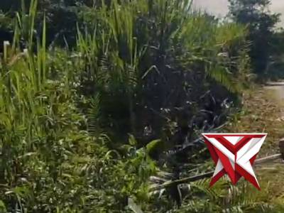 PROGRAM BELIDA POLDA SUMSEL POLRES MUBA ????