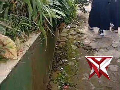 Testimoni makan bergizi