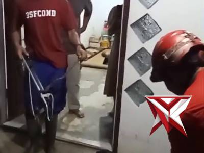 Evakuasi reptil - PoliceTube