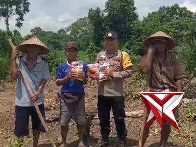 16.Bantuan benih jagung oleh Kapolsek BTS ULU z - PoliceTube