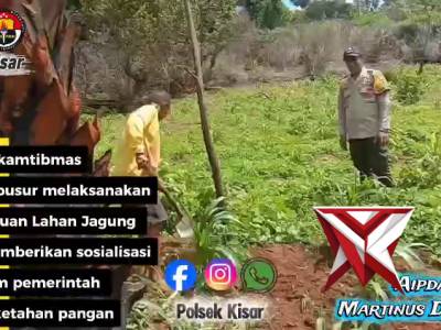 Bhabinkamtibmas polsek kisar meninjau langsung lahan ketahanan pangan milik warga binaan - PoliceTube