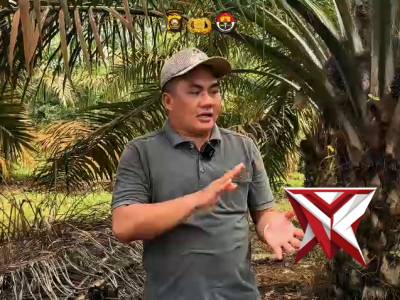 Renovasi jembatan sungai use